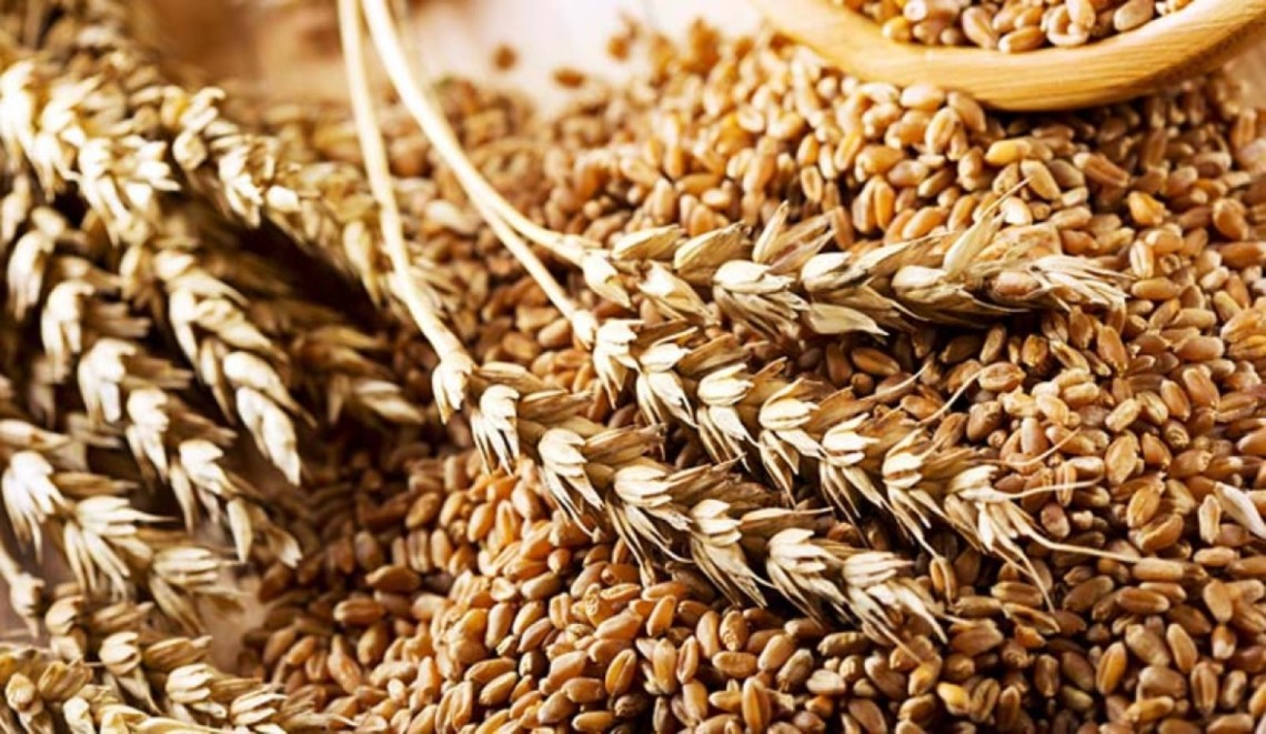 Трейдери: ціни пригальмувалися, попит на пшеницю — стриманий