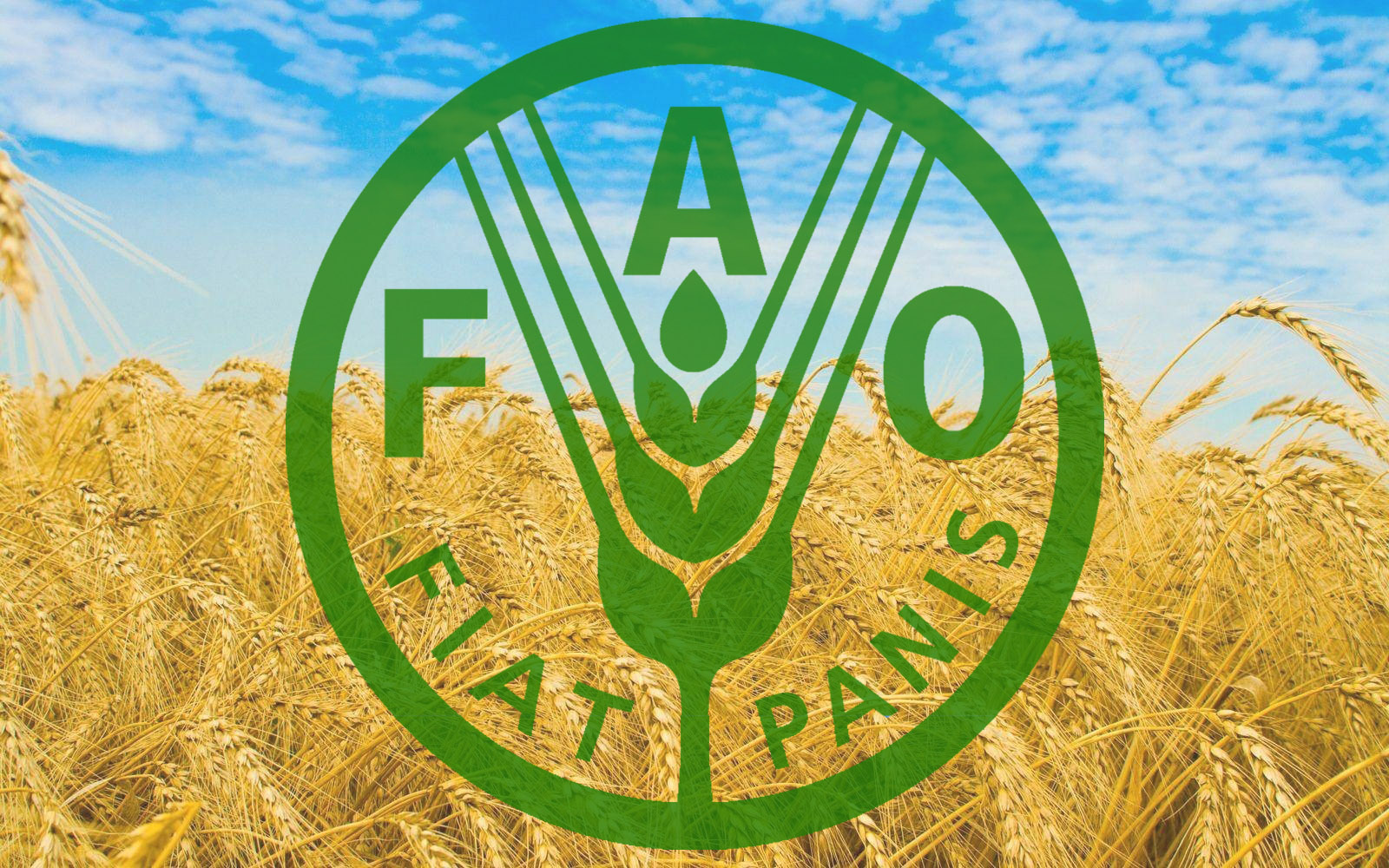 ФАО пропонує виділити $115,4 млн малим та середнім фермерським господарствам України