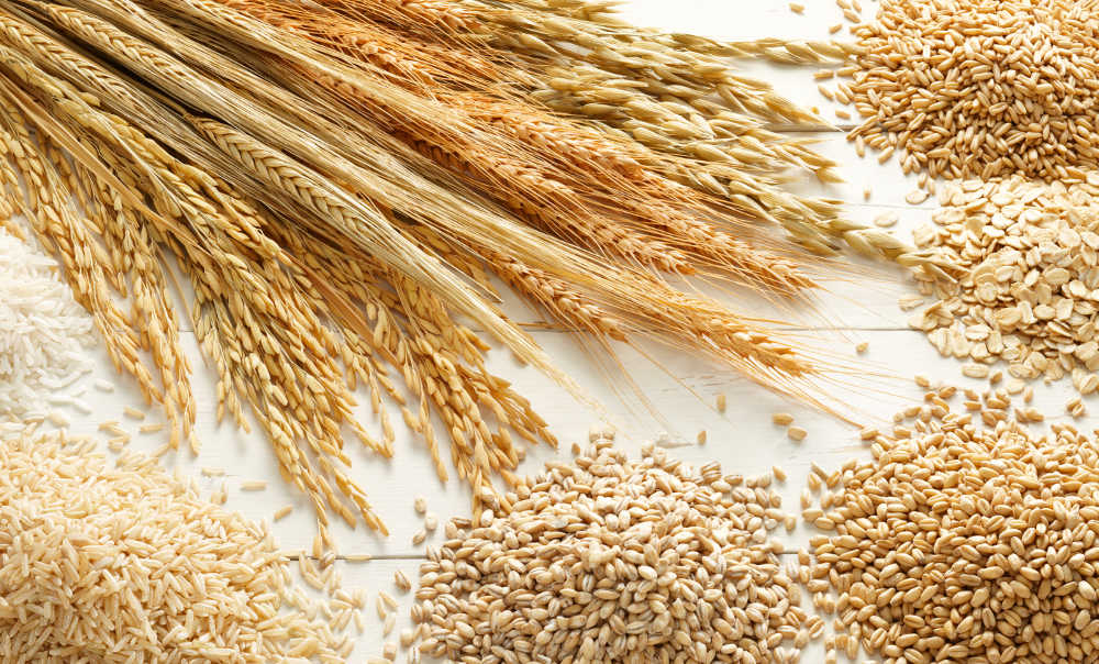 Латвія допоможе Україні з експортом зерна