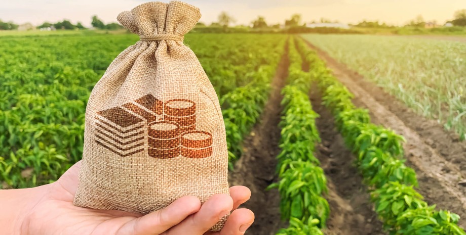 Мінагрополітики розширення кредитування для аграріїв, які працюють у сфері переробки сільгосппродукції