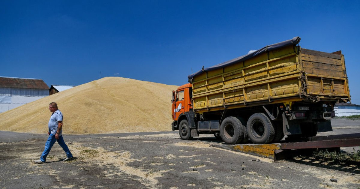 Чи отримають українські аграрії компенсацію за відібране зерно