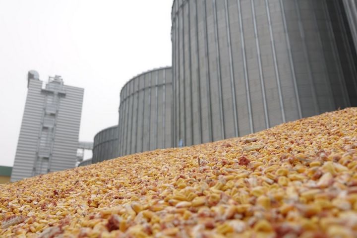 В Україні намічається дефіцит потужностей для зберігання зерна — думка