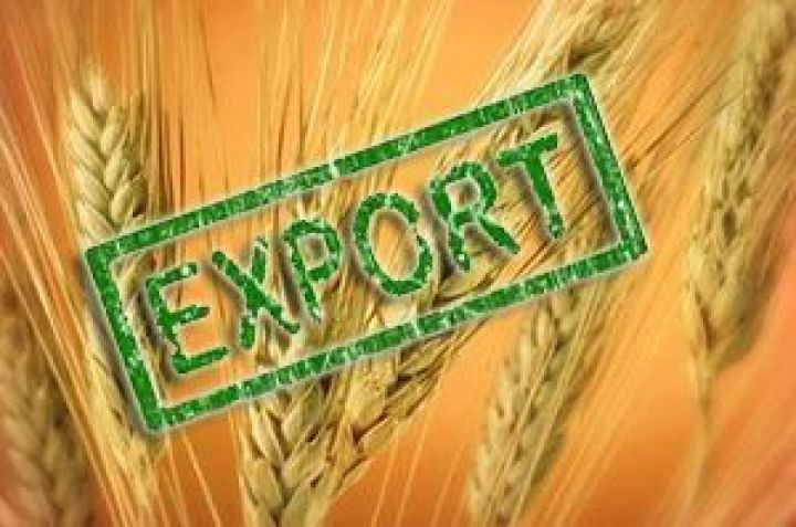 Зеленський пропонує створити Організацію країн-експортерів зерна для продовольчої безпеки світу