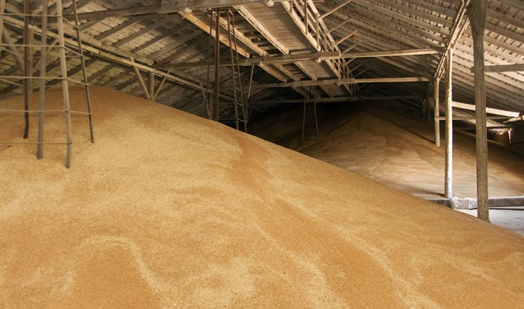 USAID АГРО надасть аграріям субгранти на зберігання зерна