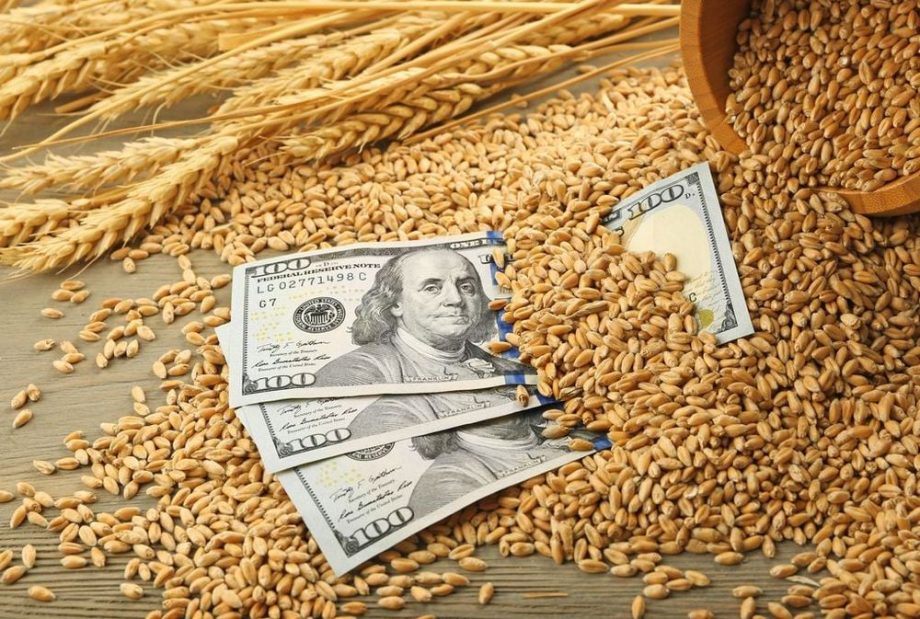 Українська пшениця продовжує знижуватися у ціні