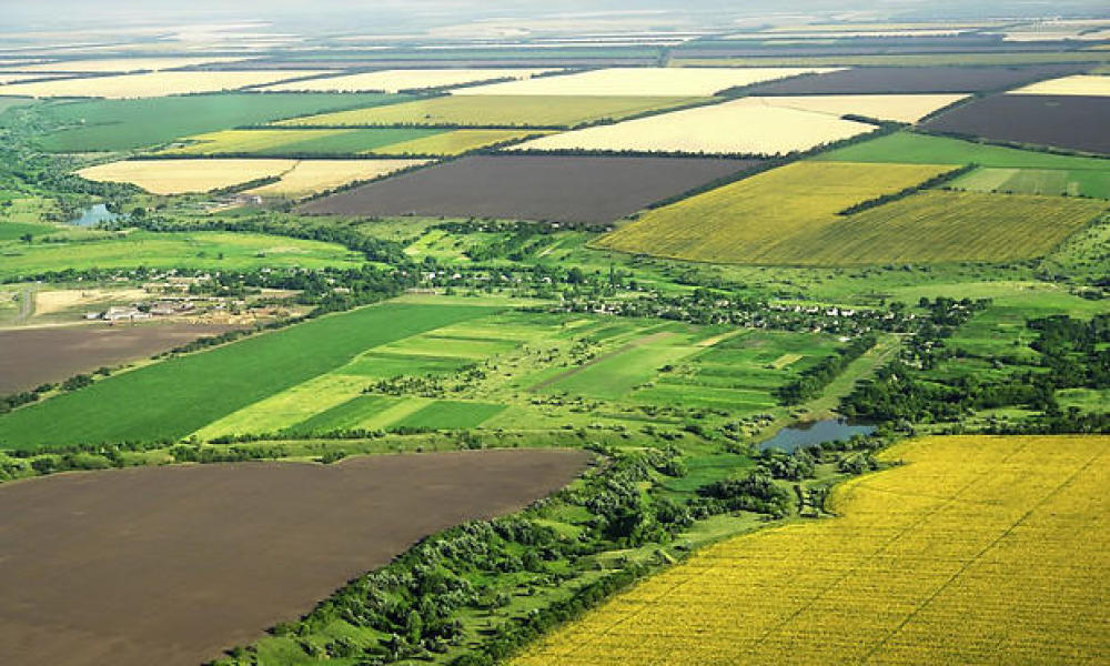 В Україні успішно завершено майже 900 земельних аукціонів за час війни