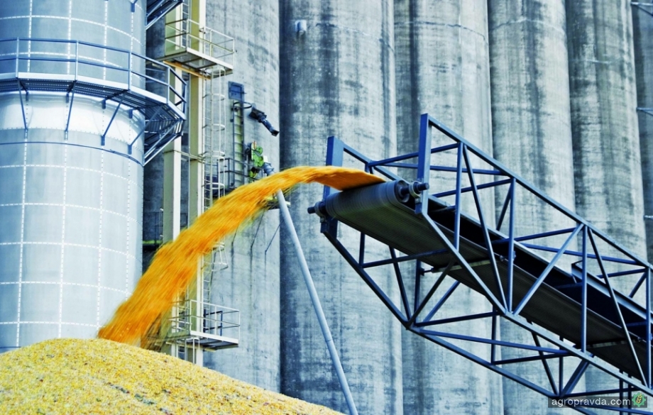 До кінця жовтня дефіцит потужностей для зберігання зерна може складати 10 -15 млн тонн — Дмитрасевич