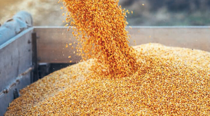 Ліцензування експорту пшениці в Україні скасують — Висоцький