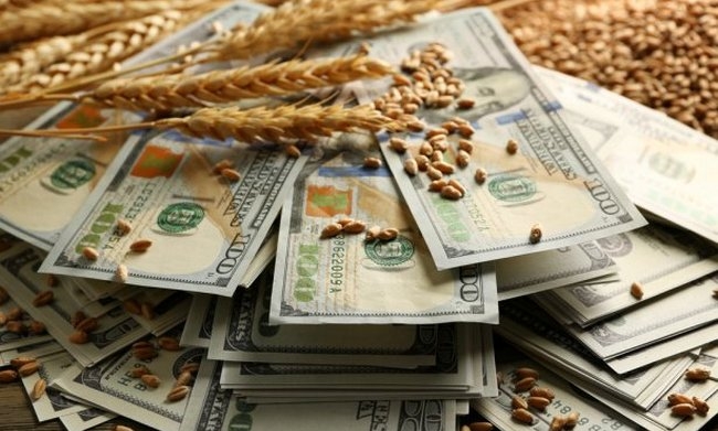 Ринок зерна: ціни на пшеницю в Україні залишаються під тиском відсутності експорту