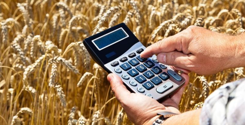 Ринок зерна: у травні ціни на пшеницю в Україні знизились більш ніж на 1000 грн/т
