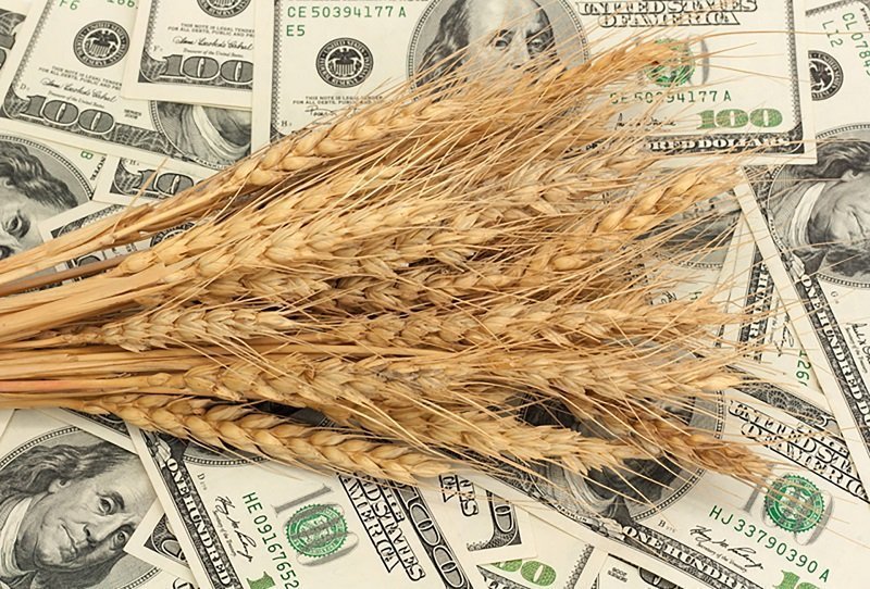 Експерт розповів, як запуск «‎зернового коридору» вплине на курс валют, а страховики та банки не наважуються брати участь в експорті