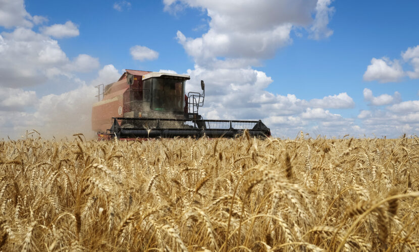 Уряд України розблокував експорт жита та мінеральних добрив