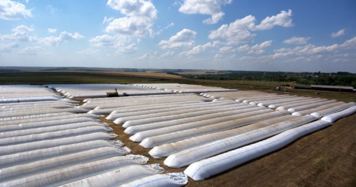 Україна скупила на світового ринку всі одноразові зерносховища для зберігання нового врожаю