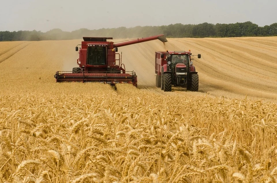 Микола Сольський озвучив прогноз врожаю зернових у 2022 році