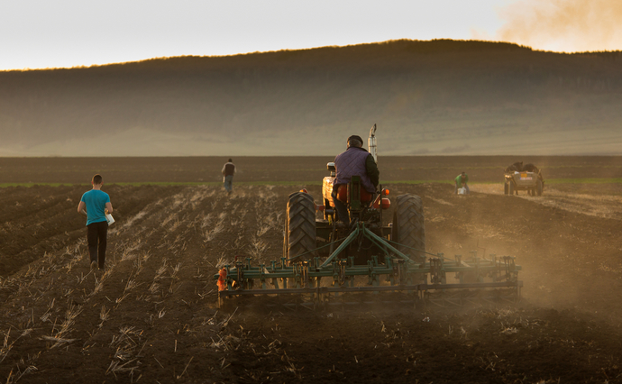 Як українське право робить із фермерів на окупованих територіях колаборантів