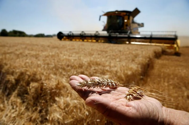 Угода в Стамбулі відразу вплинула на відпускну ціну на зерно для українських фермерів