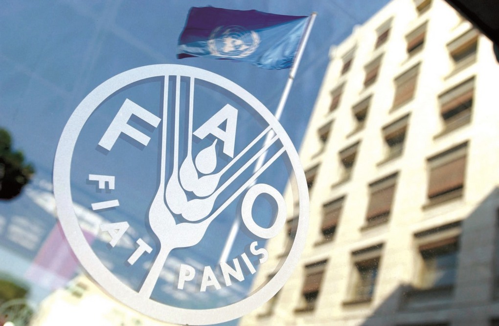 В Україні створять офіс ФАО для підтримки сільгоспвиробників, буде залучено $180 млн