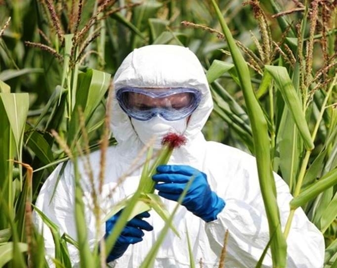 Рада прийняла законопроєкт, який врегульовує використання пестицидів та агрохімікатів