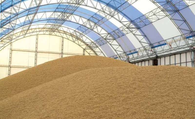 Україна вивезла майже усе торішнє зерно