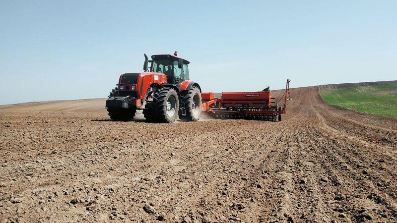 В Україні засіяно 58% озимих зернових культур