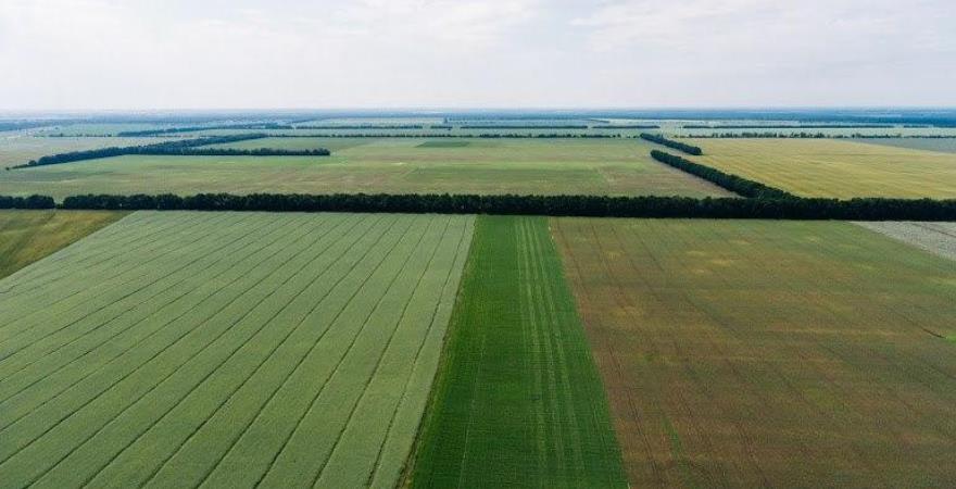 Озвучено вартість 1 га землі в Україні у 2022 році