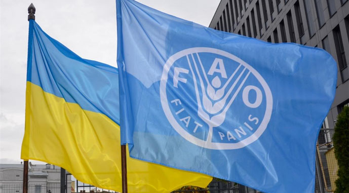 ФАО створює офіс в Україні: зроблено перший крок