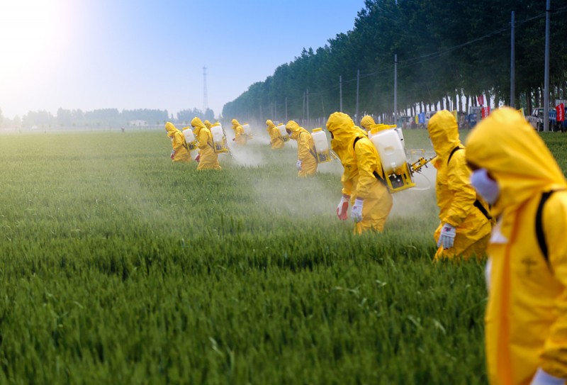 Рада дозволила вилучати та утилізувати фальсифіковані пестициди і добрива  – закон