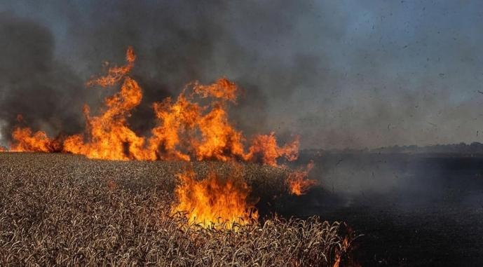 Сума збитків українським ґрунтам сягнула 18$ млрд