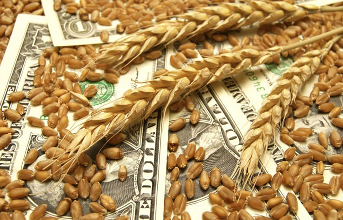 Світові ціни на зернові продовжили знижуватись