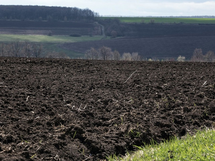 Аграрії закликають державу надати свої землі в оренду на пільгових умовах підприємцям, які втратили поля через війну