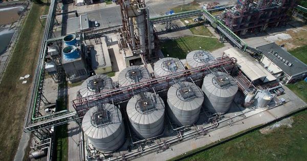 В Україні запрацює новий завод з переробки пшениці на біоетанол