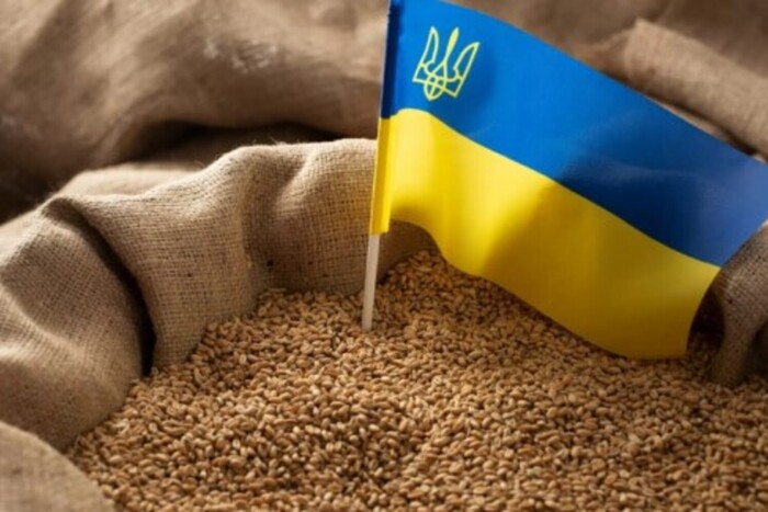 Євросоюз планує будувати нову інфраструктуру для транзиту українського зерна