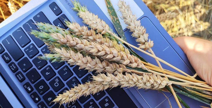 В Україні запровадять новий фінансовий інструмент для кредитування сільгоспвиробників