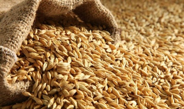 В Україні триває здешевлення продовольчої пшениці – АПК-Інформ