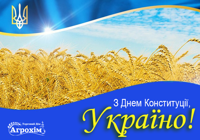 28 червня – День Основного Закону України!