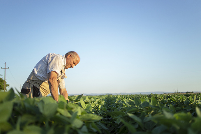В Україні права аграрія хочуть передати створеному ним фермерському господарству – законопроєкт
