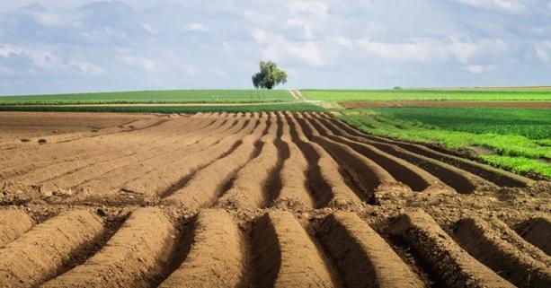 Перереєстрація землі з фізичної особи на фермерське господарство: алгоритм і переваги