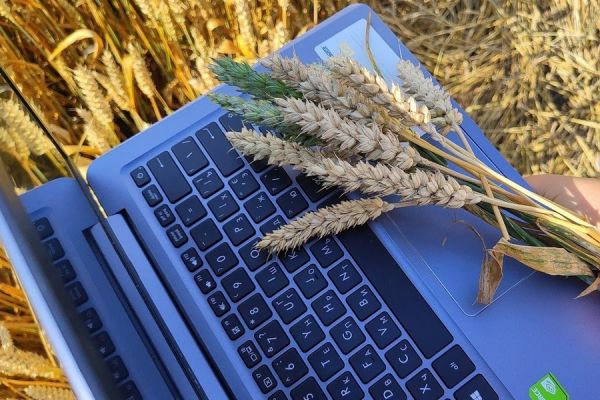 В Україні запрацювала нова прозора платформа з продажу зерна AGROFORUМ