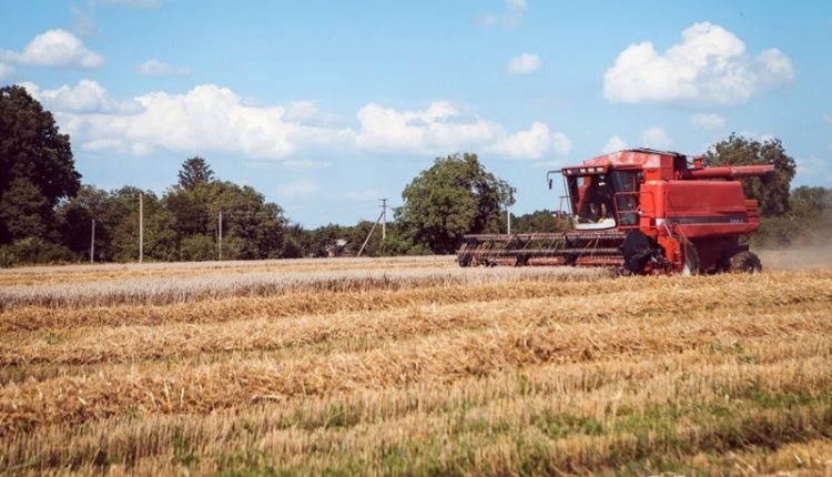 В Україні зібрали понад 11 млн тонн ранніх зернових