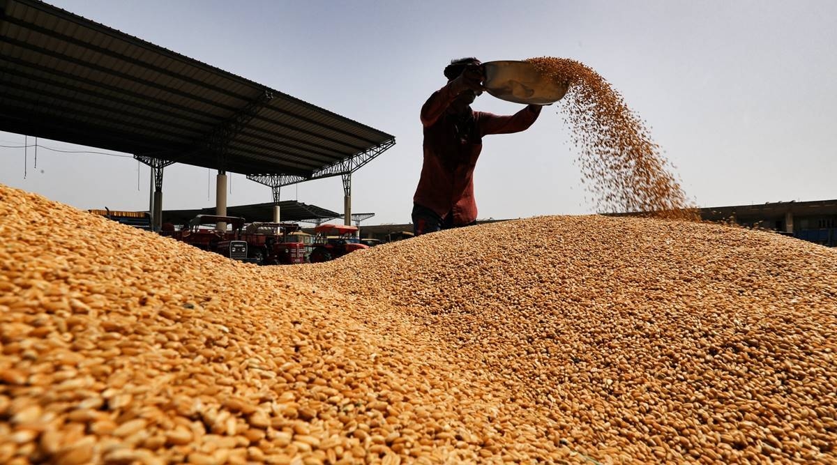 Аналітики прогнозують стабільні ціни на зернові та олійні