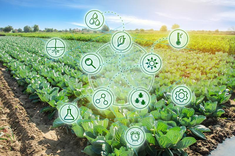 Європейські норми реєстрації пестицидів та агрохімікатів загрожують збитками українським аграріям, – експерт
