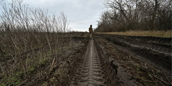 Новий закон про державні землі допоможе фермерам, які постраждали від війни, – Денис Марчук