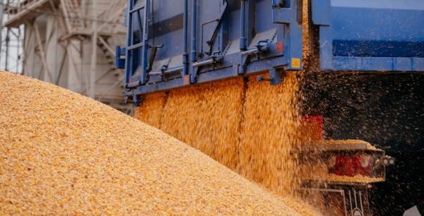 Ситуація з цінами на українські зернові буде залежати від логістики — економіст