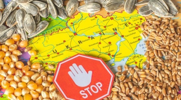 Аграрії закликають скасувати наказ, який зупиняє експорт зерна