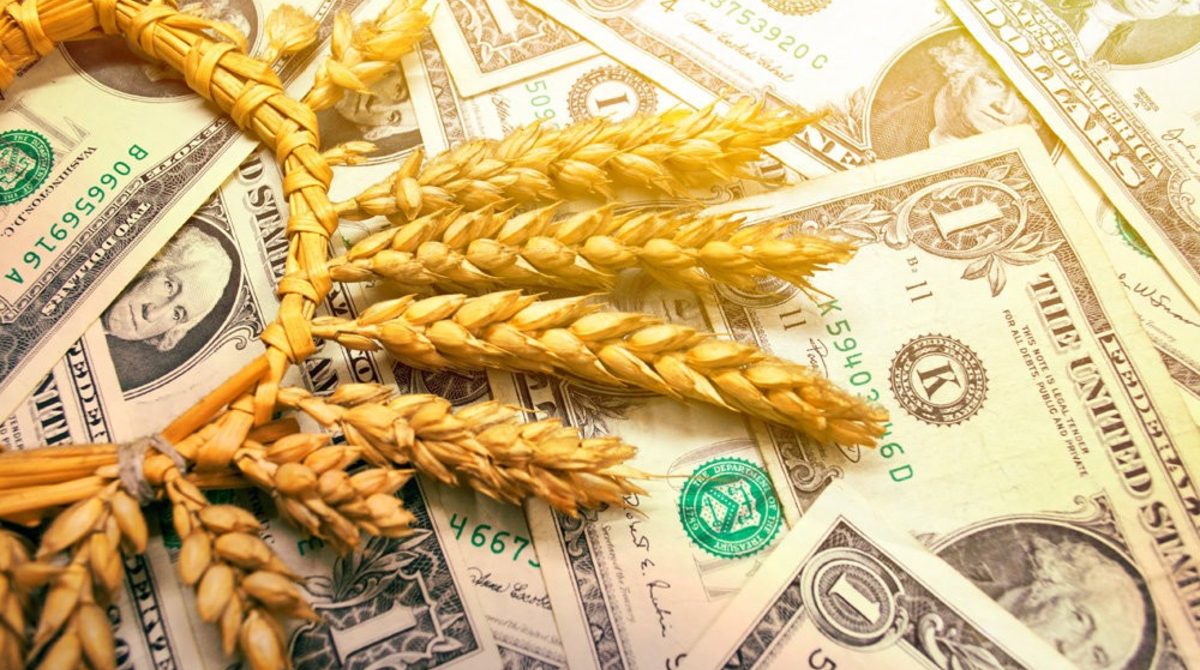 Україна може отримати від ЄС 1 млрд євро щоб викупити зерно у аграріїв