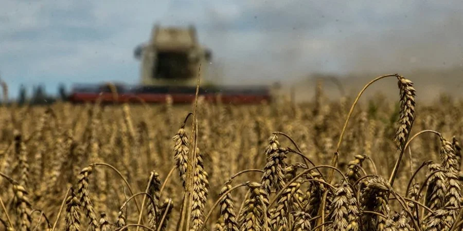 Україна оскаржить заборону Євросоюзу на експорт зерна в разі її продовження
