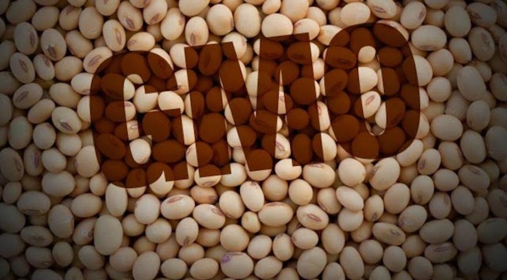 Аграріїв чекають значні штрафи за обіг нелегального ГМО