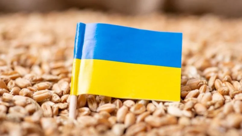 В Україні пропонують передбачити додаткові підстави для відмови в митному оформленні зернових