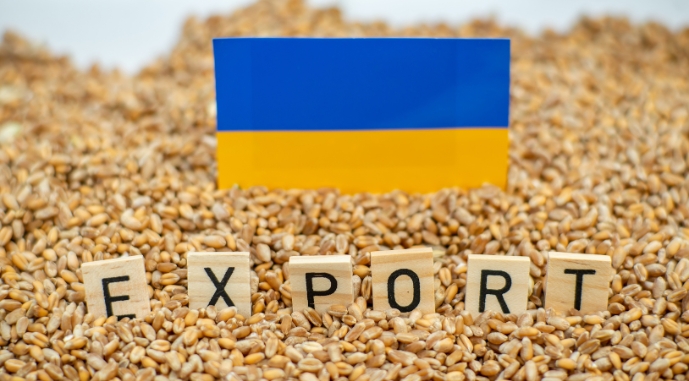 Уряд планує змінити правила експорту аграрної продукції