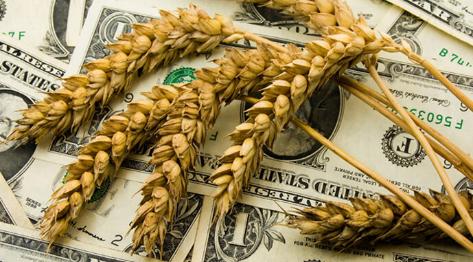 В Україні пропонують створити спеціальний фонд для викупу зерна